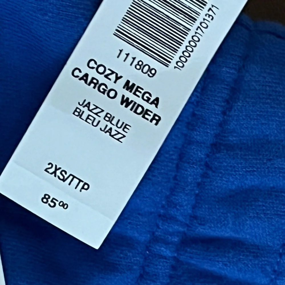 Aritzia TNA Sweatfleece Cozy Fleece Cargo Mega Fit Sweatpants in Jazz Blue, NEW